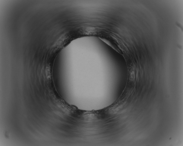 X0000091860620200709191117