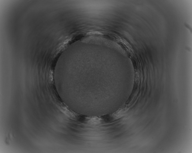 X0000091860621200709191117