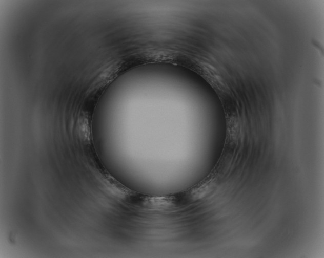 X0000091860622200709191117