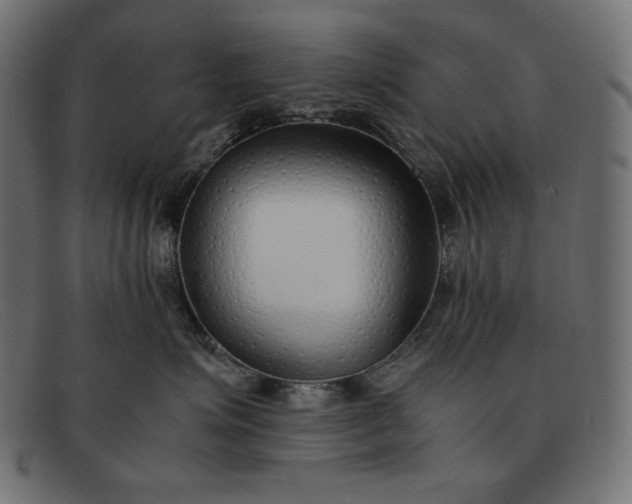 X0000091860623200709191117