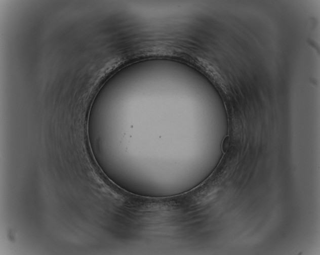 X0000091860625200709191116