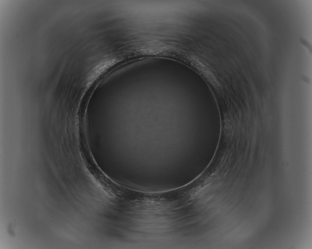 X0000091860626200709191116