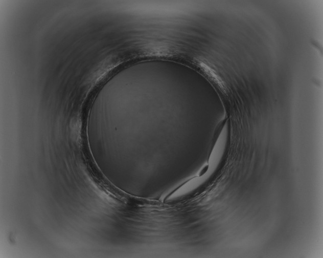 X0000091860627200709191117