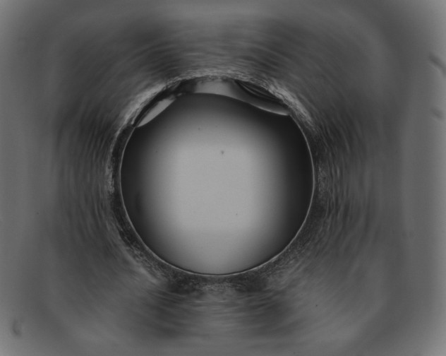 X0000091860628200709191117