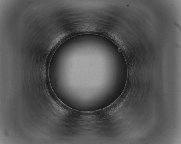 X0000091860629200709191117