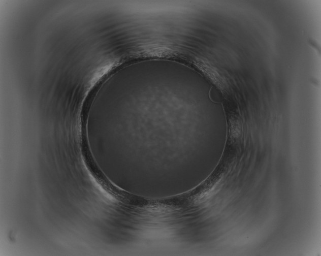 X0000091860630200709191117