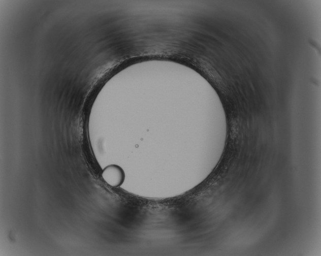 X0000091860632200709191117