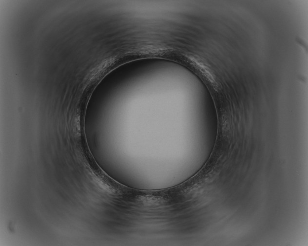 X0000091860633200709191117