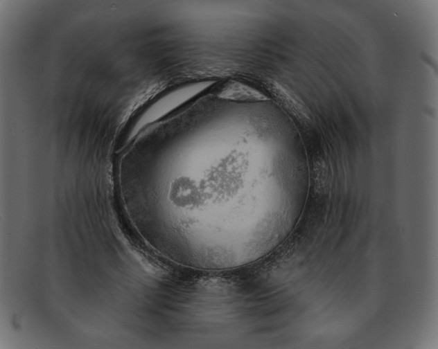 X0000091860634200709191117