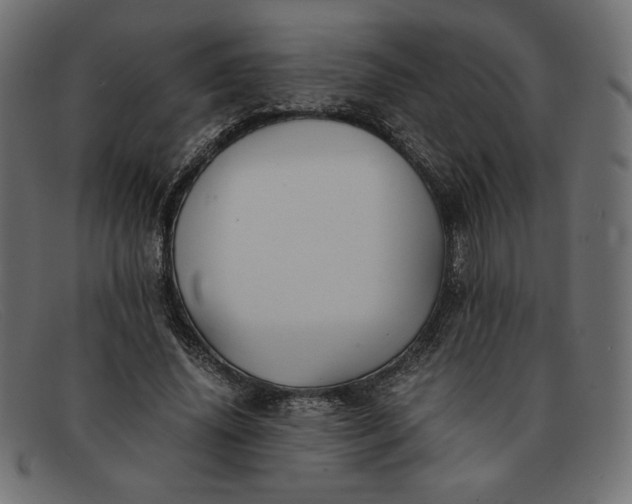 X0000091860636200709191117