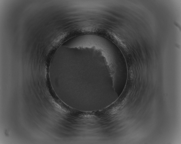 X0000091860637200709191117