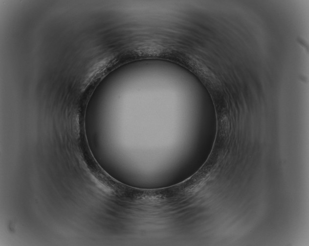 X0000091860638200709191117