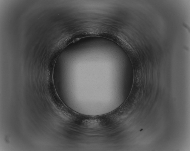 X0000091860639200709191117