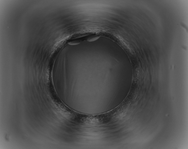 X0000091860640200709191117