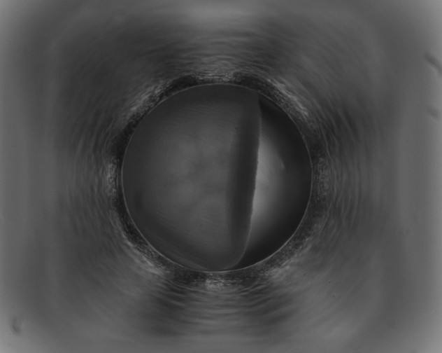 X0000091860641200709191117