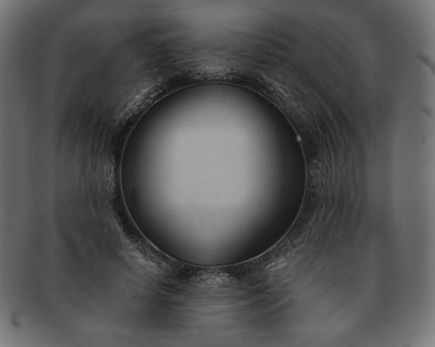 X0000091860642200709191117