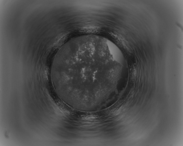 X0000091860643200709191117