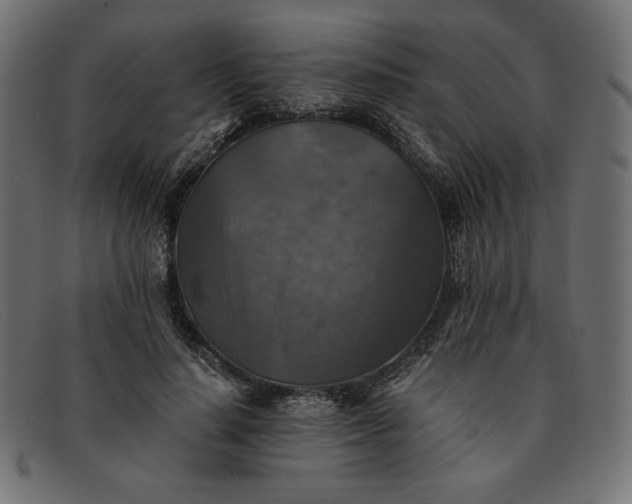 X0000091860644200709191117