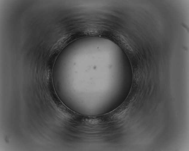 X0000091860645200709191117