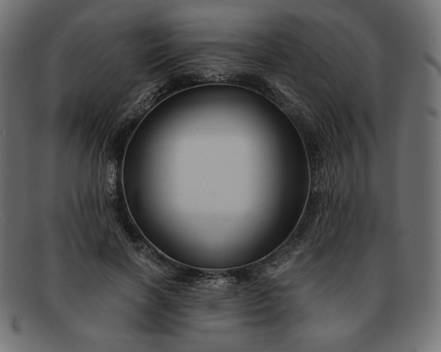 X0000091860646200709191117