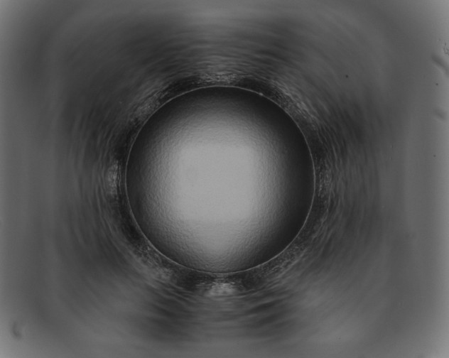 X0000091860647200709191117