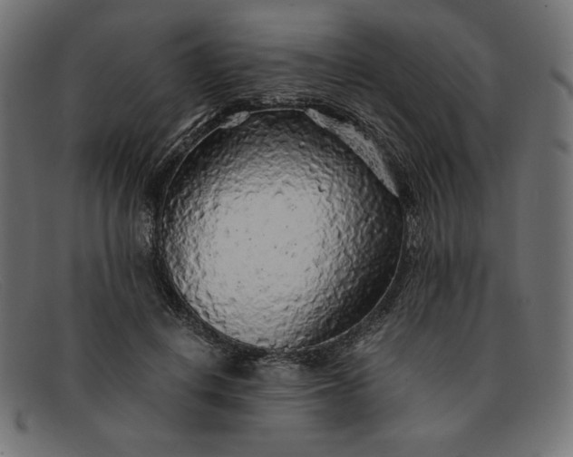 X0000091860648200709191117