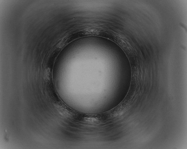 X0000091860649200709191117