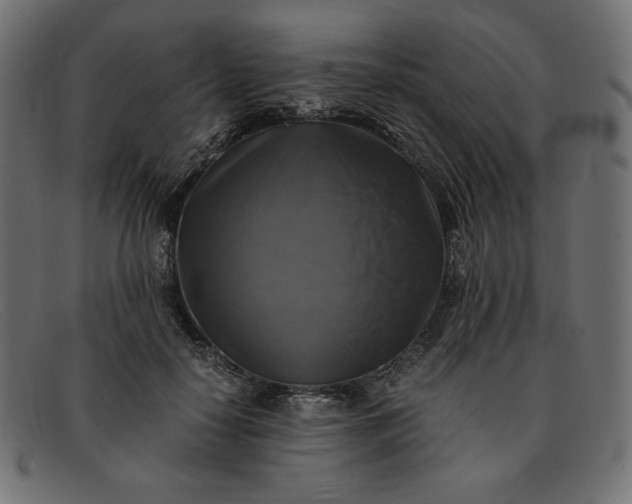 X0000091860650200709191117