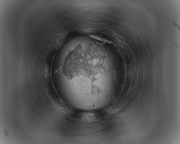 X0000091860651200709191117