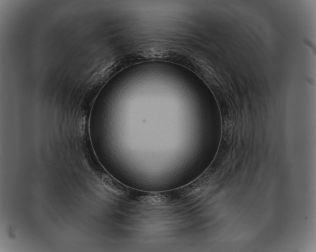 X0000091860652200709191117