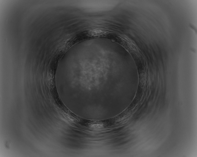 X0000091860653200709191117