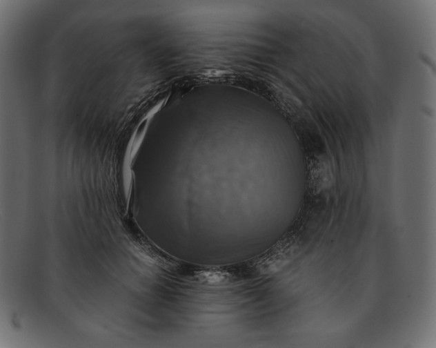 X0000091860654200709191117