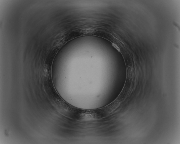 X0000091860655200709191117