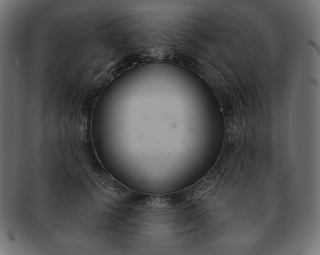 X0000091860656200709191117