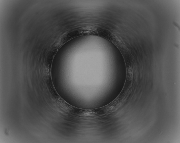 X0000091860657200709191117