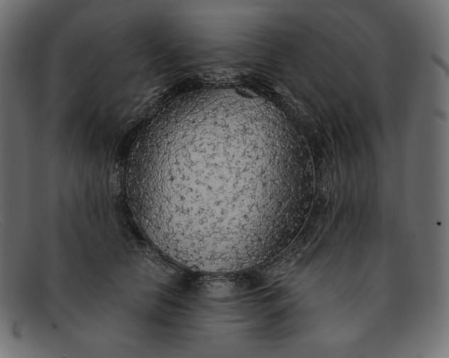 X0000091860658200709191117