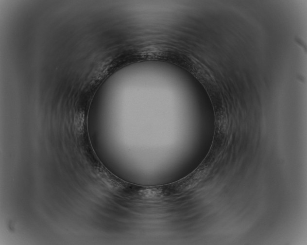 X0000091860660200709191117