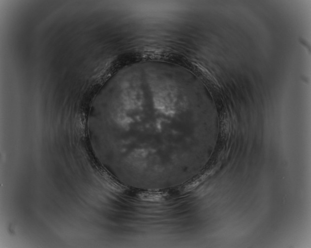 X0000091860661200709191117