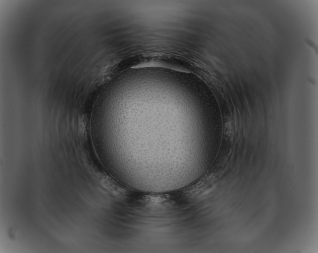 X0000091860662200709191117