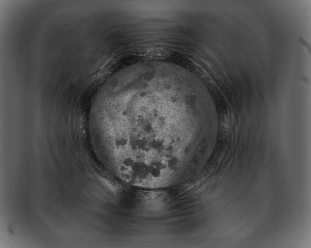 X0000091860663200709191117