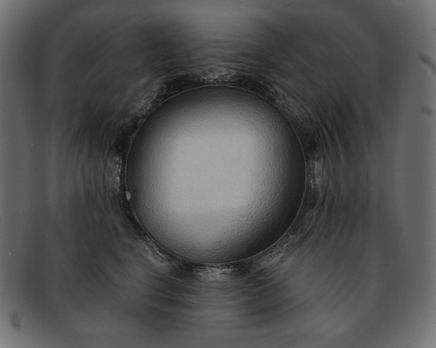 X0000091860664200709191117