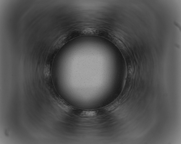 X0000091860665200709191117