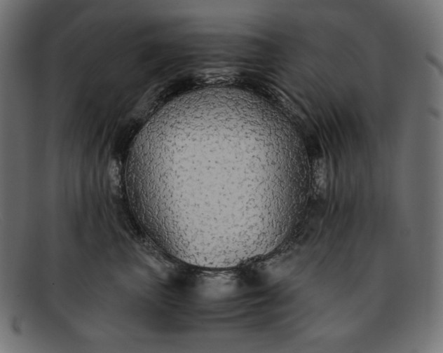 X0000091860667200709191117