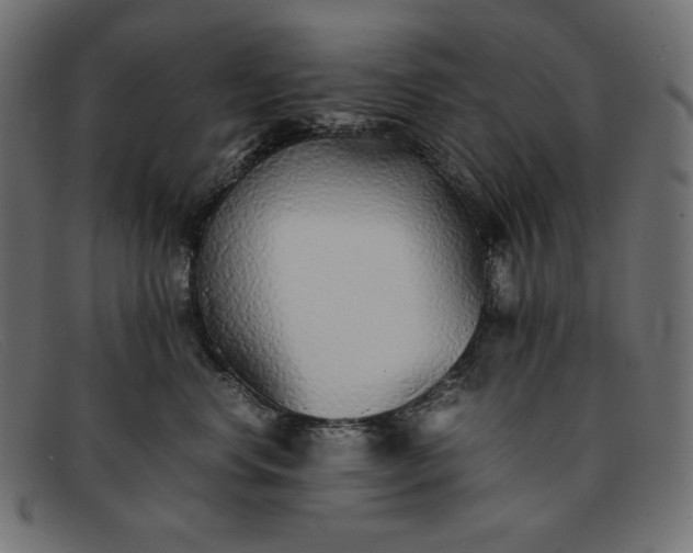 X0000091860668200709191117