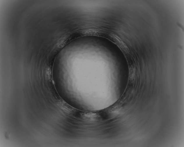 X0000091860669200709191117