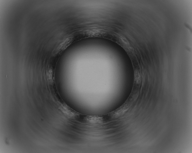 X0000091860670200709191117