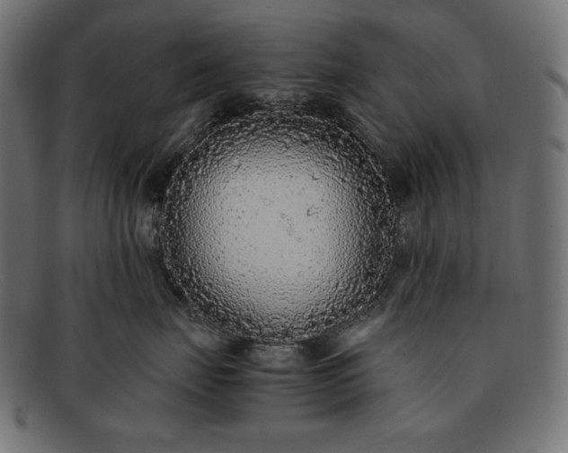 X0000091860671200709191117