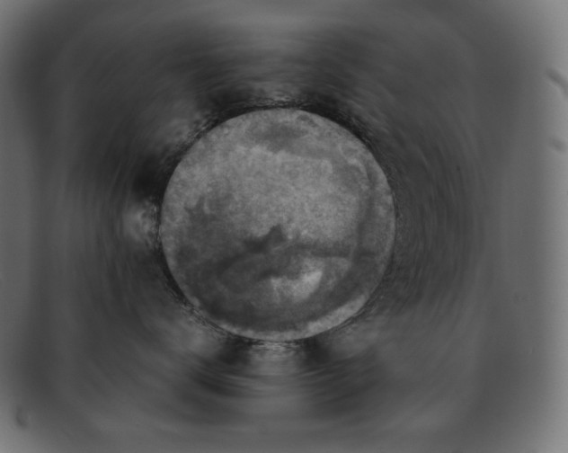 X0000091860672200709191117