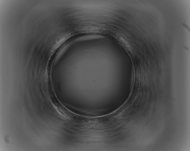 X0000091860674200709191116