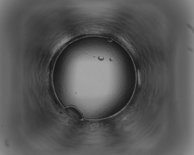 X0000091860675200709191116